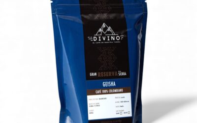 El ritual de preparar café en Chemex: claridad, elegancia y esencia en cada taza