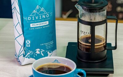 Café Divino: Una Experiencia de Lujo