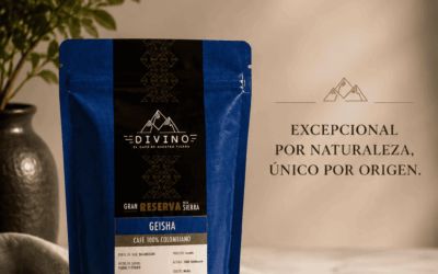 De la Sierra Nevada a tu Taza: el Viaje de Nuestro Geisha Gran Reserva