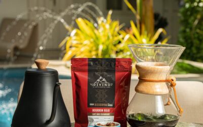 ¿Qué significa café Bourbon Rojo? Descubre por qué es una de las variedades más apreciadas del mundo