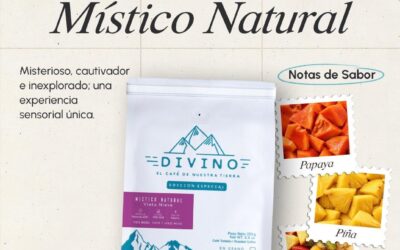 Místico Natural: el lado más extraordinario del café de la Sierra Nevada